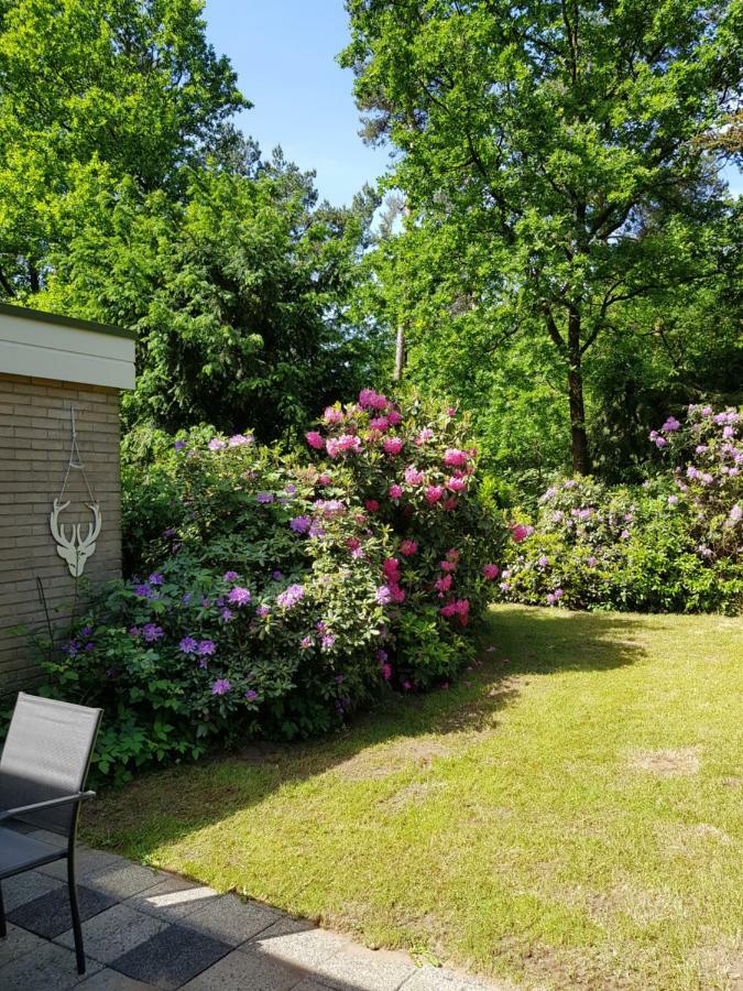 Bungalow Hartje Veluwe Otterlo Exterior photo